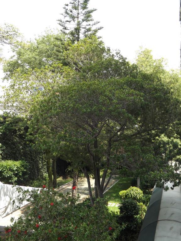 Pedregal Palace Mexico City Eksteriør billede